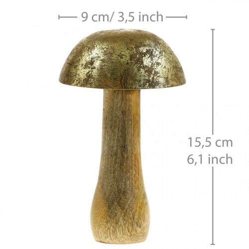 Floristik24 Champignon mango træ guld, naturlig dekorativ svamp Ø9cm H15,5cm 2stk