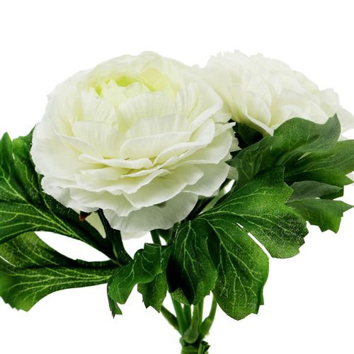 Floristik24 Ranunculus buket hvid L18cm
