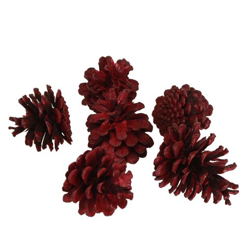 Artikel Sorte fyrrekogler Bordeaux dekorative kogler rød 6-8cm 6 stk