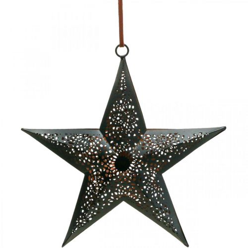 Floristik24 Juleophæng Star Metal Star Sort H19cm