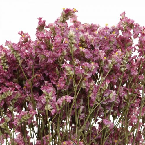 Floristik24 Statice, Hav Lavendel, Tørret Blomst, Vildblomst Bunch Pink L52cm 23g