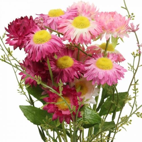Artikel Rhodanthe pink-pink, silkeblomster, kunstig plante, bundt halmblomster L46cm