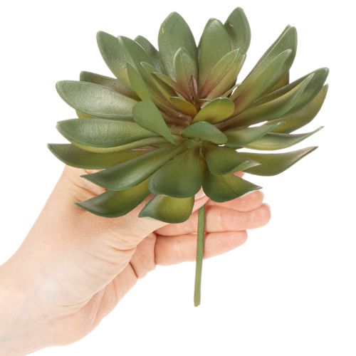 Artikel Kunstig sukkulent som dekorativ plante, grøn, 18 cm, 3 stk.