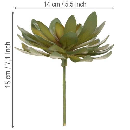 Artikel Kunstig sukkulent som dekorativ plante, grøn, 18 cm, 3 stk.