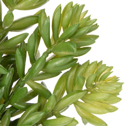 Artikel Kunstig sukkulentblomst til vedligeholdelsesfri indretning af opholdsstuer og kontorer, 15 cm, 6 stk.