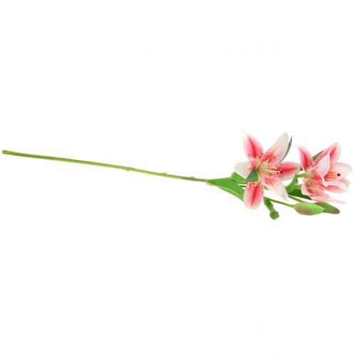 Floristik24 Tiger Lily Pink, Hvid 60cm