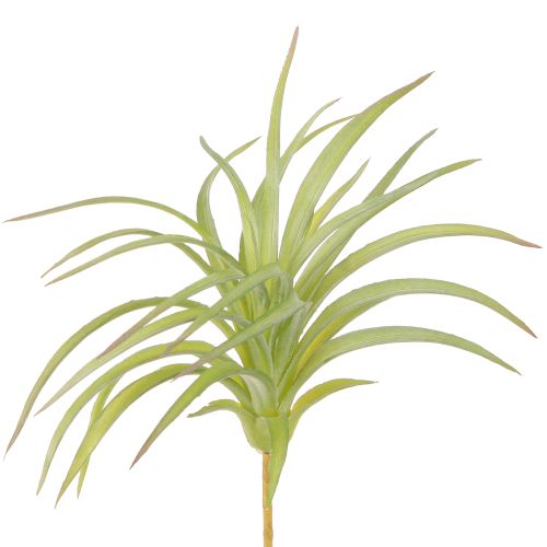 Tillandsia Grønne Kunstige Planter med Pind Ø17cm 3stk