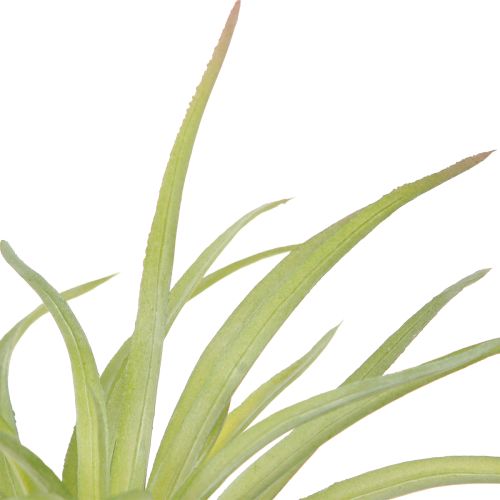 Artikel Tillandsia Grønne Kunstige Planter med Pind Ø17cm 3stk