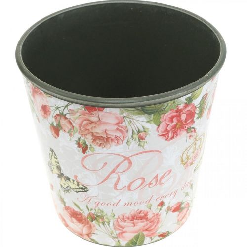 Artikel Plantekasse, spand til udplantning, plantekasse med rose H13cm Ø13,5cm