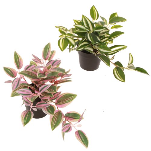 Tradescantia Kunstig grøn plante i potte H19,5cm 2stk