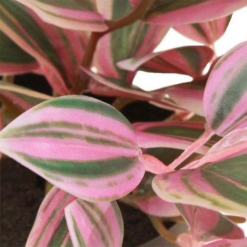 Artikel Tradescantia Kunstig grøn plante i potte H19,5cm 2stk