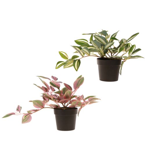 Artikel Tradescantia Kunstig grøn plante i potte H19,5cm 2stk