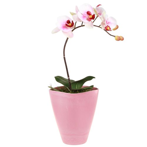 Urtepotte plast vase orkidé potte pink H16,5cm 4stk