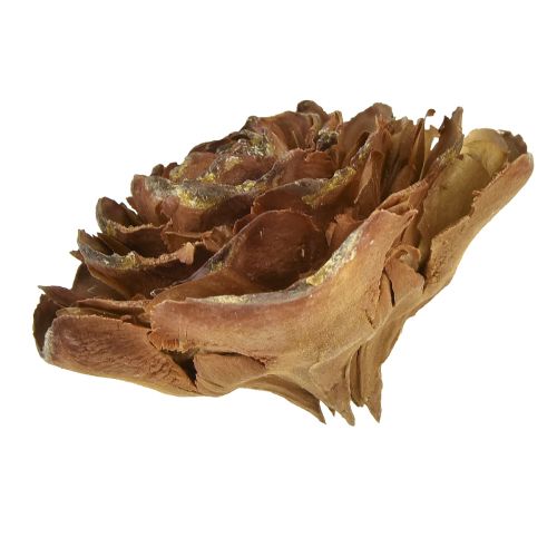 Artikel Kegler af cedertræ skåret som en rosencederrose 4-6cm naturlig 50 stk.