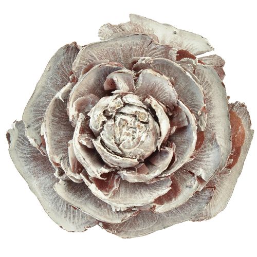 Artikel Cederkegler skåret som rosencederrose 4-6cm hvid/naturlig 50 stk