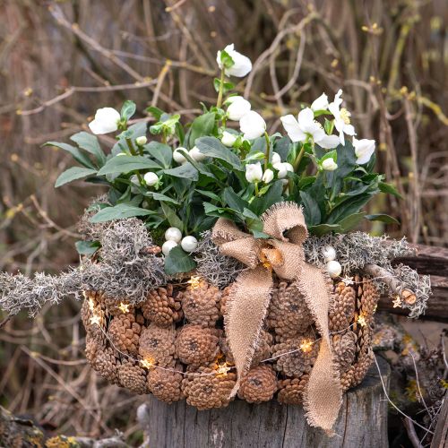 Artikel Dekorativ skål fyrrekogler i naturbrun Ø35cm H15cm