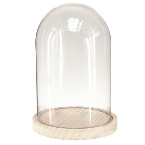 Artikel Glasklokke oval træbund glasoverligger klar natur Ø17cm H24cm