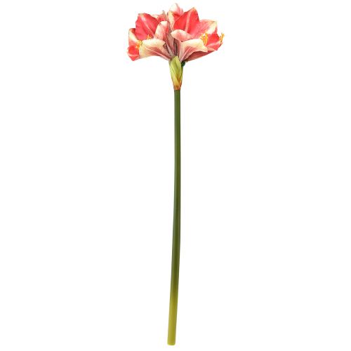 Artikel Kunstig Amaryllis Pink og Creme – Stor Stængel Blomst 76cm