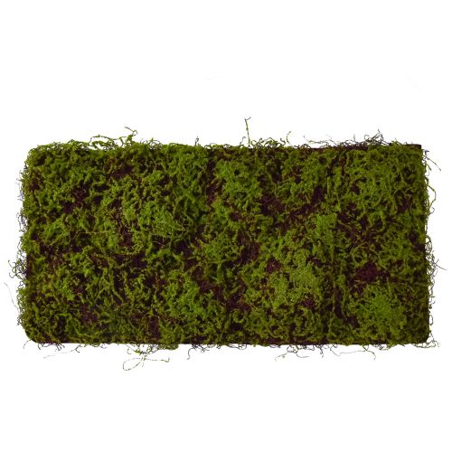 Kunstmos Stor Mosemåtte Brun Grøn 100×50cm