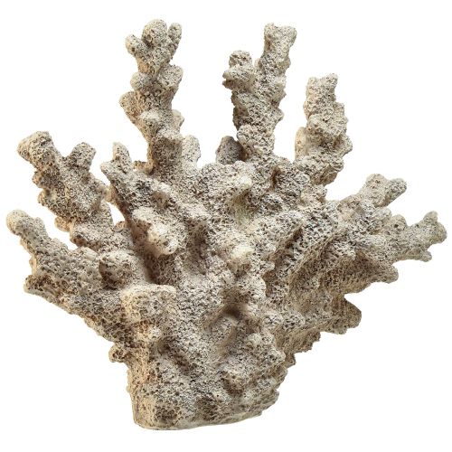 Artikel Detaljeret koraldekoration lavet af polyresin i grå - 26 cm - maritim elegance til dit hjem