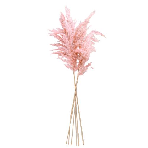 Artikel Pampas græs tørret pink tør blomster 65-75 cm 6 stykker i en flok