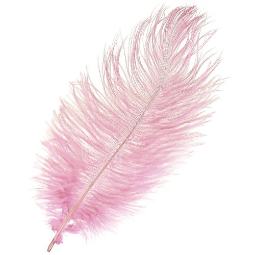 Strudsefjer Ægte fjer Dekoration Pink 20-25cm 12stk