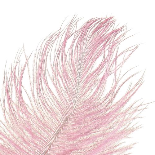 Artikel Strudsefjer Ægte fjer Dekoration Pink 20-25cm 12stk