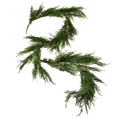 Granguirlande Thuja med frugter dekorativ bøjle grøn L175cm