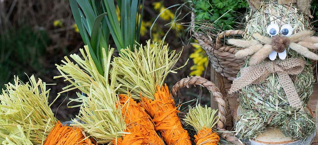 Trægrene, stænger og grene