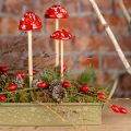 Floristik24 Paddehatte på pind, rød, 4 cm, sæt med 6 - dekorative havesvampe til efterårsdekoration