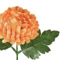 Floristik24 Krysantemum orange Ø7cm L18cm 1 stk