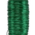 Floristik24 Deco Emaljeret Wire Grøn Ø0,50mm 50m 100g