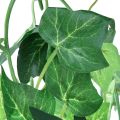 Floristik24 Ivy guirlande kunstig plante efeu kunstig grøn 170cm