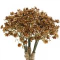 Floristik24 Gypsophila kunstig brun til efterårsbuket 29,5cm 18p