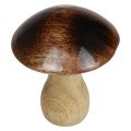 Floristik24 Træ svampe dekoration naturlig brun glans effekt Ø10cm H12cm