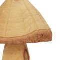 Floristik24 Træsvampe dekoration svampe trædekoration naturlig borddekoration efterår Ø11cm H28cm