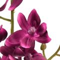 Floristik24 Lille orkidé Phalaenopsis kunstig blomst mørk lilla 30cm