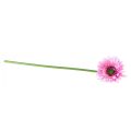 Floristik24 Kunstige Blomster Gerbera Have Kunstige Blomster Pink 47cm