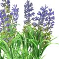 Floristik24 Kunstig lavendel Dekorative lavendelgrene Pick Lilla 33cm