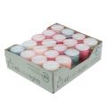 Floristik24 Colorlights fyrfadslys pastel assorteret 40 stk