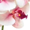 Floristik24 Orkidé Phalaenopsis kunstig 9 blomster hvid fuchsia 96cm