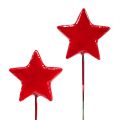 Floristik24 Stjerner på wire til at dekorere 5 cm rød 48 stk