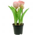 Floristik24 Kunstige blomster i potte Kunstige tulipaner Pink Gul 22,5 cm