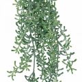 Floristik24 Grøn plantehængende kunstig hængeplante med knopper grøn, hvid 100cm