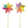 Floristik24 Pinwheel Farverig Vindmølle Blomster Prikker Altan Ø15cm 2stk