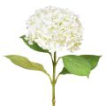 Floristik24 Dekorativ hortensia kunstig hvid sneboldhortensia 65cm
