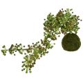 Floristik24 Grøn plante kunstig perlesnor i moskugle 38cm