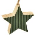 Floristik24 Juletræ vedhængssæt, hjerte-træ-stjerne, mint-grøn-hvid, 4,5 cm, 9 dele - juledekoration