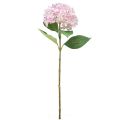 Floristik24 Hortensia kunstig lys pink kunstig blomsterhaveblomst 65cm