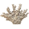 Floristik24 Detaljeret koraldekoration lavet af polyresin i grå - 26 cm - maritim elegance til dit hjem